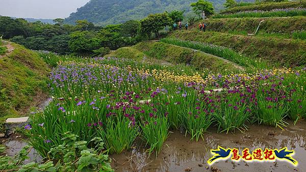 石門嵩山-百年梯田-阡陌步道 (20).jpg