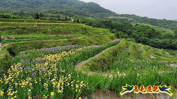 石門嵩山-百年梯田-阡陌步道 (22).jpg