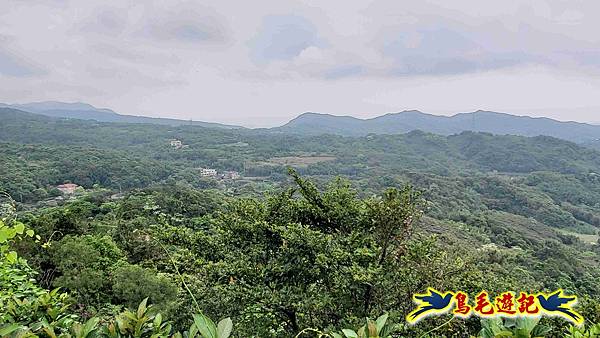 雙溪貢寮縱走(西九份坑山、九份坑山、嶺頭觀日步道、雞母嶺街楊廷理古道、丹裡山、外文秀坑山) (27).jpg