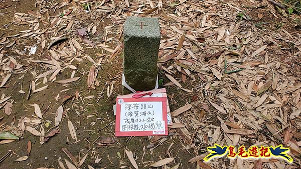 南港茶展中心-畚箕湖山-深按保甲路古道-排寮尖 (10).jpg