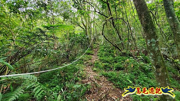 泰平國小-溪尾寮山-東柑腳山（後寮山）-風口鞍部(埡口)下崩山坑古道 (15).jpg