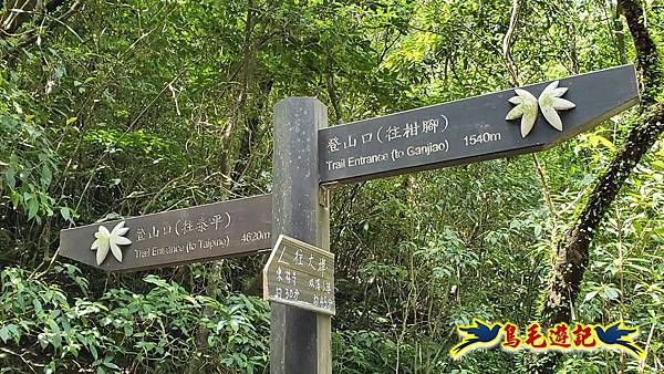 泰平國小-溪尾寮山-東柑腳山（後寮山）-風口鞍部(埡口)下崩山坑古道 (43).jpg