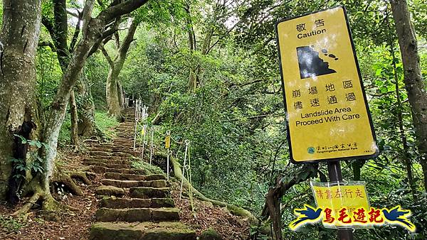 興福寮步道-糞箕湖古道右左線-新向天池山西南稜-向天池山-向天池P形 (5).jpg