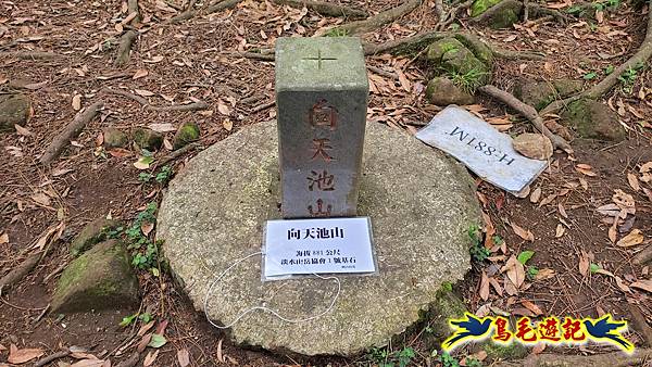 興福寮步道-糞箕湖古道右左線-新向天池山西南稜-向天池山-向天池P形 (25).jpg