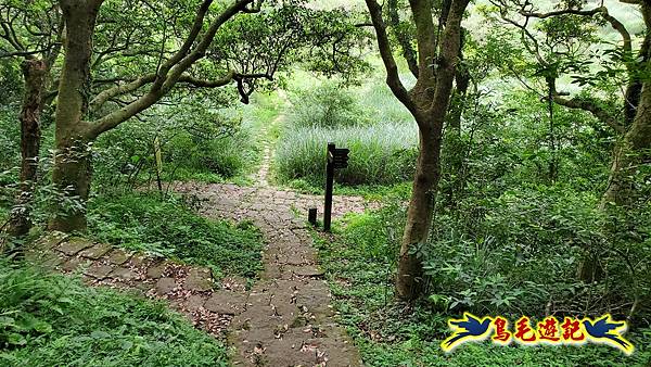 興福寮步道-糞箕湖古道右左線-新向天池山西南稜-向天池山-向天池P形 (31).jpg