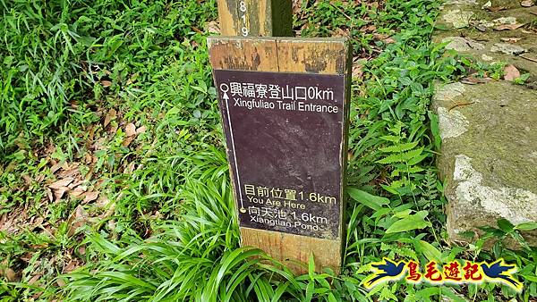 興福寮步道-糞箕湖古道右左線-新向天池山西南稜-向天池山-向天池P形 (33).jpg