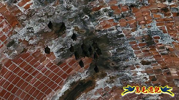 劉銘傳隧道-獅球嶺北峰- 獅球嶺砲台-鷹岩砲台-三坑車站 (15).jpg