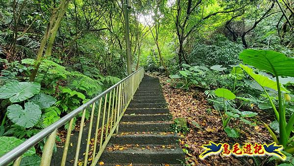 劉銘傳隧道-獅球嶺北峰- 獅球嶺砲台-鷹岩砲台-三坑車站 (24).jpg 劉銘傳隧道-獅球嶺北峰- 獅球嶺砲台-鷹岩砲台-三坑車站 (24).jpg
