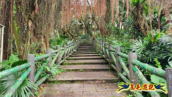 劉銘傳隧道-獅球嶺北峰- 獅球嶺砲台-鷹岩砲台-三坑車站 (37).jpg