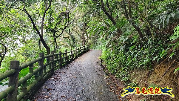 劉銘傳隧道-獅球嶺北峰- 獅球嶺砲台-鷹岩砲台-三坑車站 (42).jpg 劉銘傳隧道-獅球嶺北峰- 獅球嶺砲台-鷹岩砲台-三坑車站 (42).jpg