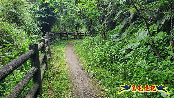 劉銘傳隧道-獅球嶺北峰- 獅球嶺砲台-鷹岩砲台-三坑車站 (58).jpg