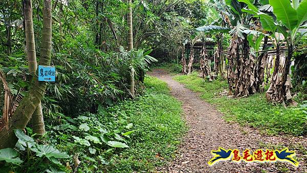 劉銘傳隧道-獅球嶺北峰- 獅球嶺砲台-鷹岩砲台-三坑車站 (60).jpg 劉銘傳隧道-獅球嶺北峰- 獅球嶺砲台-鷹岩砲台-三坑車站 (60).jpg