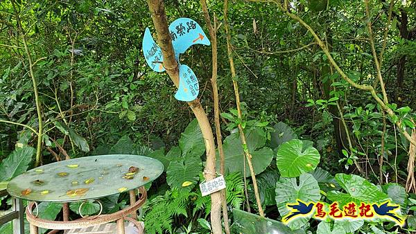 劉銘傳隧道-獅球嶺北峰- 獅球嶺砲台-鷹岩砲台-三坑車站 (66).jpg 劉銘傳隧道-獅球嶺北峰- 獅球嶺砲台-鷹岩砲台-三坑車站 (66).jpg