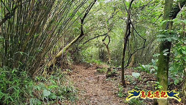 劉銘傳隧道-獅球嶺北峰- 獅球嶺砲台-鷹岩砲台-三坑車站 (68).jpg 劉銘傳隧道-獅球嶺北峰- 獅球嶺砲台-鷹岩砲台-三坑車站 (68).jpg