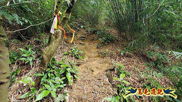 劉銘傳隧道-獅球嶺北峰- 獅球嶺砲台-鷹岩砲台-三坑車站 (69).jpg