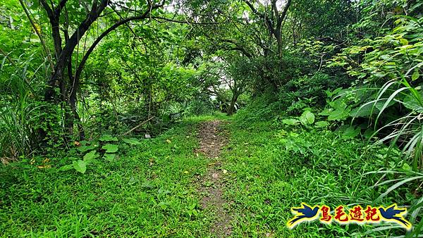 劉銘傳隧道-獅球嶺北峰- 獅球嶺砲台-鷹岩砲台-三坑車站 (71).jpg