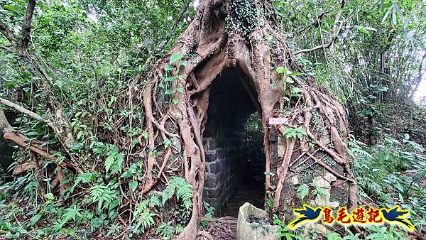 劉銘傳隧道-獅球嶺北峰- 獅球嶺砲台-鷹岩砲台-三坑車站 (70).jpg 劉銘傳隧道-獅球嶺北峰- 獅球嶺砲台-鷹岩砲台-三坑車站 (70).jpg