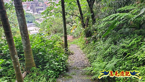 劉銘傳隧道-獅球嶺北峰- 獅球嶺砲台-鷹岩砲台-三坑車站 (74).jpg