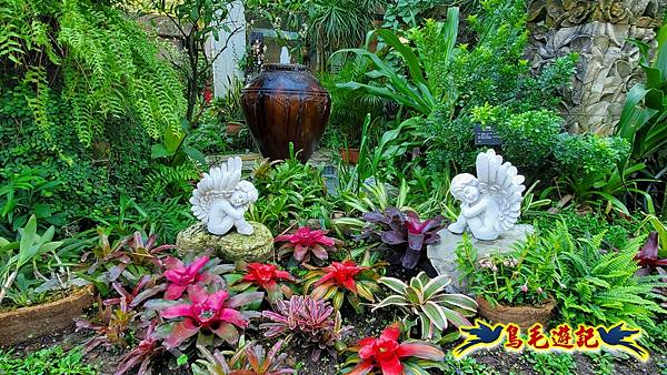 楊梅雅聞魅力博覽館-浪漫玫瑰花季百花盛開 (6).jpg