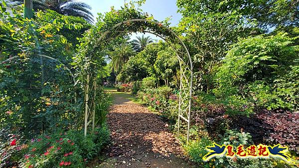 楊梅雅聞魅力博覽館-浪漫玫瑰花季百花盛開 (13).jpg
