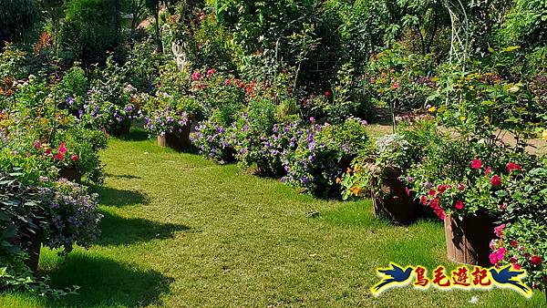 楊梅雅聞魅力博覽館-浪漫玫瑰花季百花盛開 (14).jpg