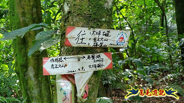 萬里大坪古道-焿子坪-紅磚古厝去回縱走 (6).jpg