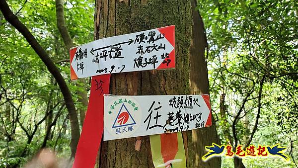 萬里大坪古道-焿子坪-紅磚古厝去回縱走 (9).jpg