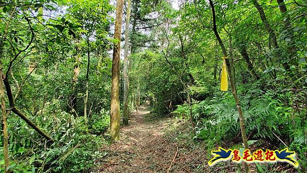 萬里大坪古道-焿子坪-紅磚古厝去回縱走 (10).jpg
