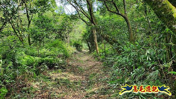 萬里大坪古道-焿子坪-紅磚古厝去回縱走 (8).jpg