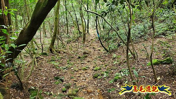 萬里大坪古道-焿子坪-紅磚古厝去回縱走 (18).jpg