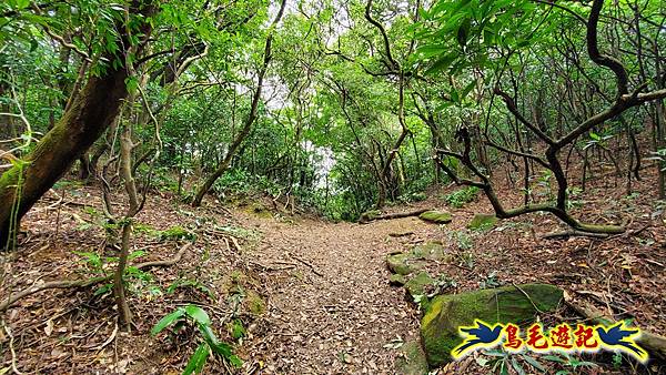 萬里大坪古道-焿子坪-紅磚古厝去回縱走 (16).jpg