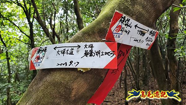 萬里大坪古道-焿子坪-紅磚古厝去回縱走 (17).jpg