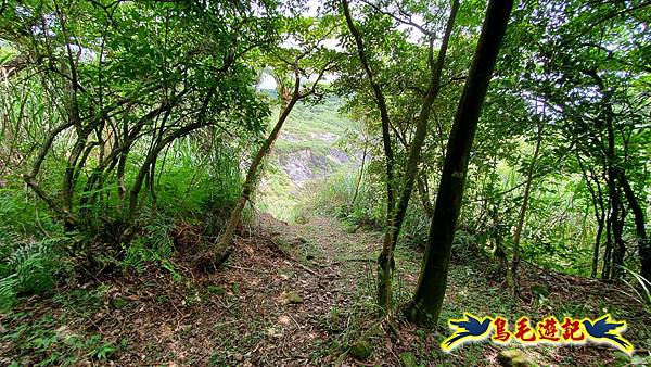 萬里大坪古道-焿子坪-紅磚古厝去回縱走 (20).jpg