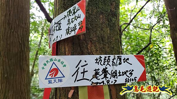 萬里大坪古道-焿子坪-紅磚古厝去回縱走 (36).jpg