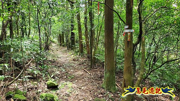 萬里大坪古道-焿子坪-紅磚古厝去回縱走 (35).jpg