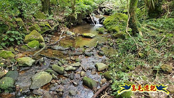 萬里大坪古道-焿子坪-紅磚古厝去回縱走 (37).jpg