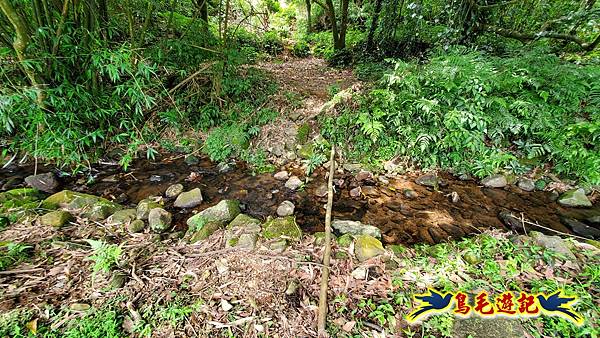 萬里大坪古道-焿子坪-紅磚古厝去回縱走 (39).jpg