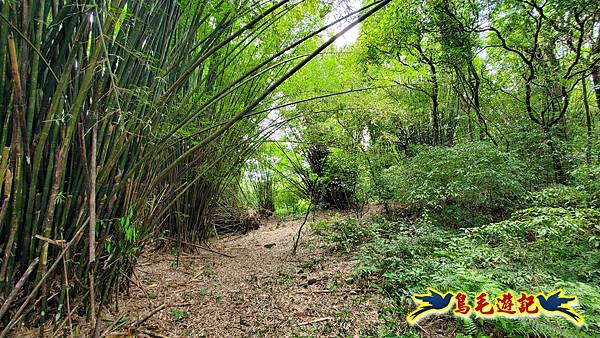 萬里大坪古道-焿子坪-紅磚古厝去回縱走 (40).jpg