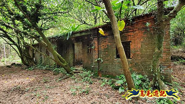 萬里大坪古道-焿子坪-紅磚古厝去回縱走 (43).jpg