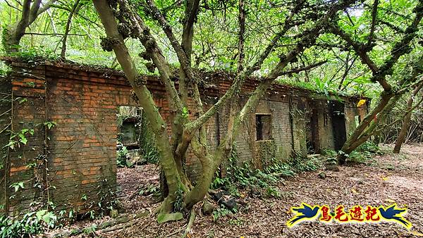 萬里大坪古道-焿子坪-紅磚古厝去回縱走 (45).jpg