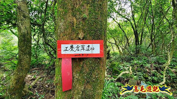 萬里大坪古道-焿子坪-紅磚古厝去回縱走 (46).jpg