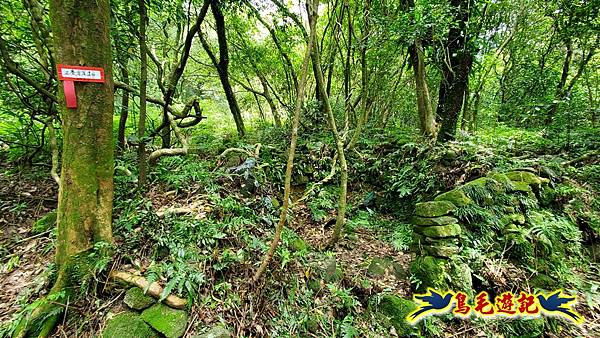 萬里大坪古道-焿子坪-紅磚古厝去回縱走 (47).jpg