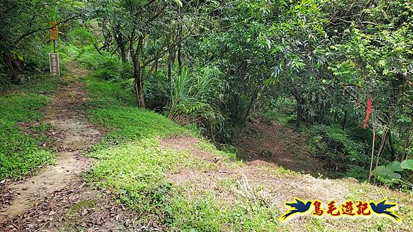 萬里大坪古道-焿子坪-紅磚古厝去回縱走 (50).jpg
