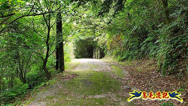 萬里大坪古道-焿子坪-紅磚古厝去回縱走 (51).jpg