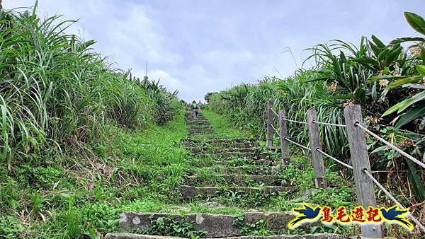 雞籠山步道 (15).jpg