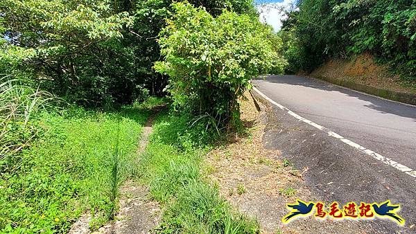 淡蘭草嶺古道(福隆-大里) (5).jpg