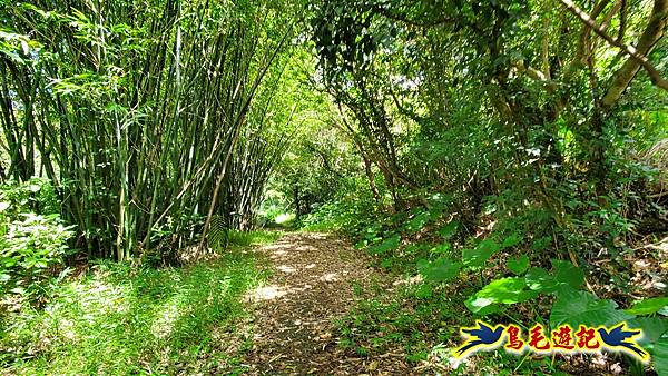 淡蘭草嶺古道(福隆-大里) (6).jpg