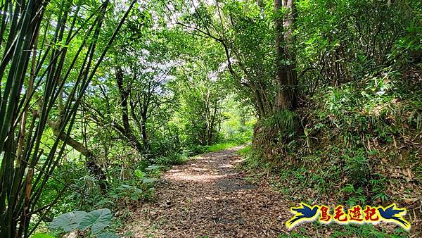 淡蘭草嶺古道(福隆-大里) (7).jpg
