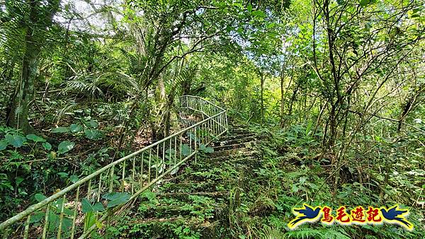 淡蘭草嶺古道(福隆-大里) (8).jpg