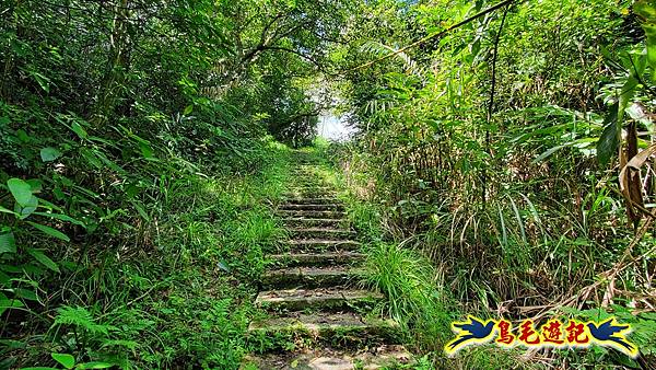 淡蘭草嶺古道(福隆-大里) (9).jpg